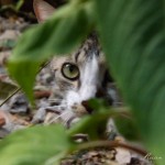 DSCF0876