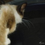 DSCF0891
