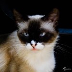 DSCF0892